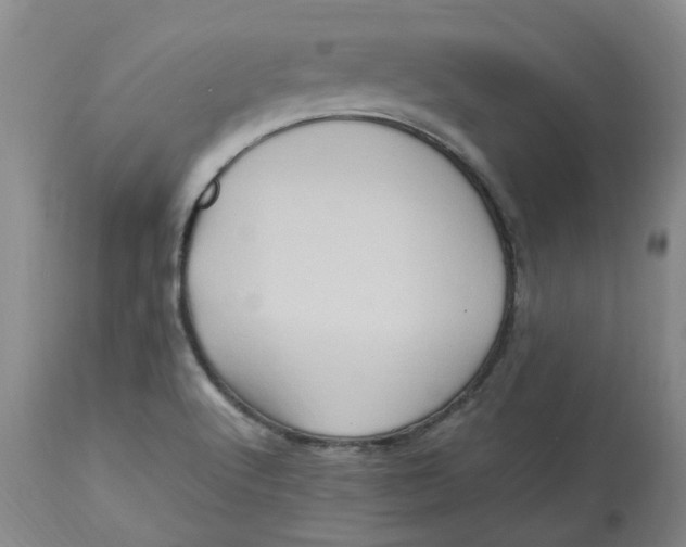 X0000113221512200910011332