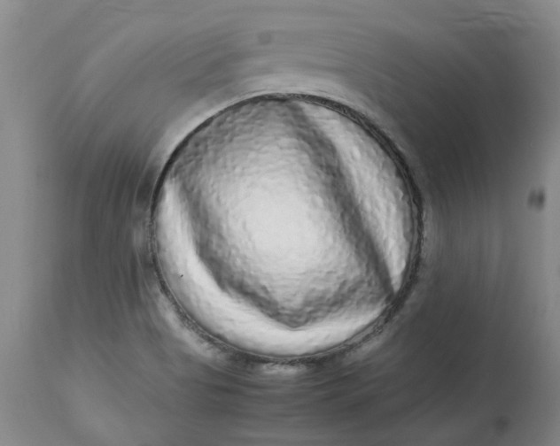 X0000113221513200910011332