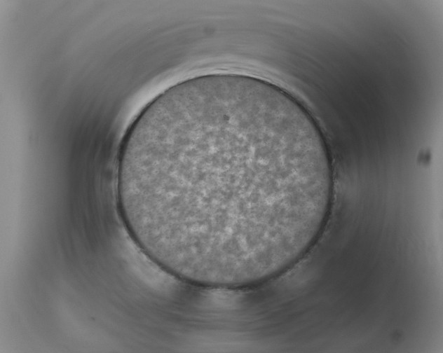 X0000113221514200910011332