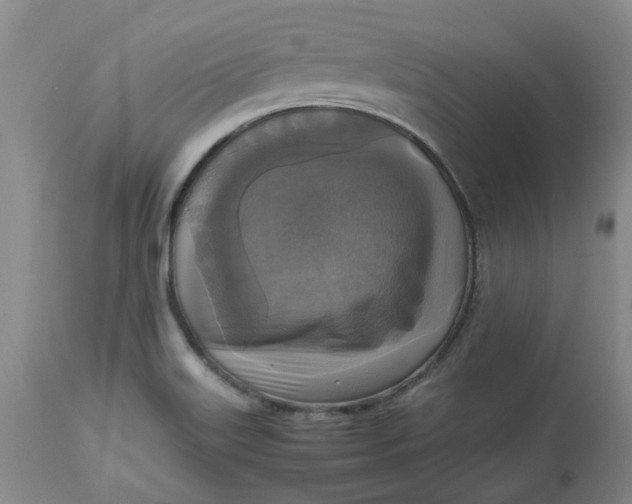 X0000113221515200910011332