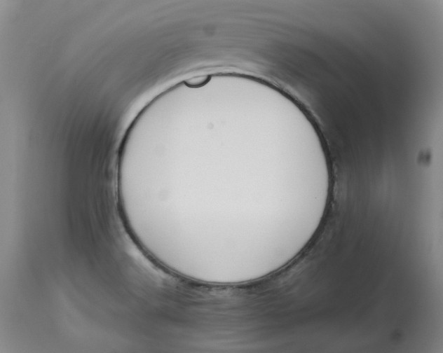 X0000113221516200910011332