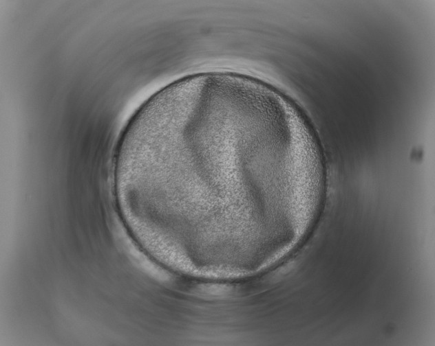 X0000113221517200910011332