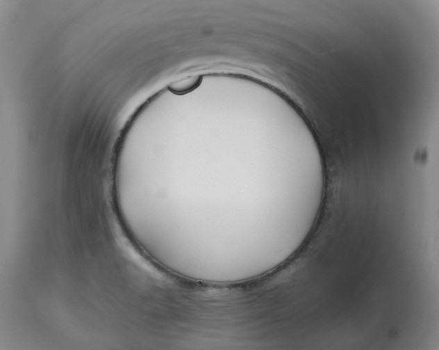 X0000113221518200910011332