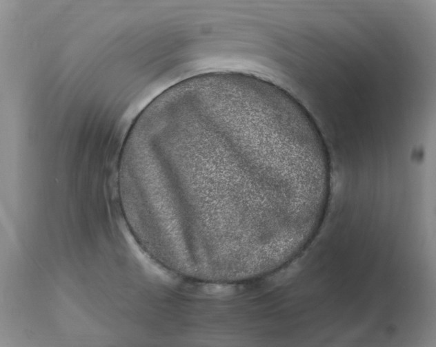 X0000113221521200910011332