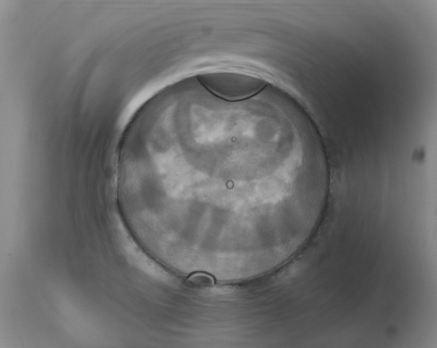 X0000113221522200910011332