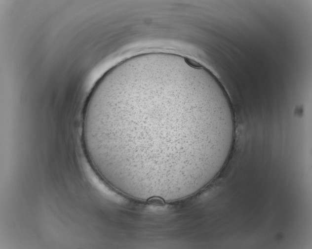 X0000113221523200910011332