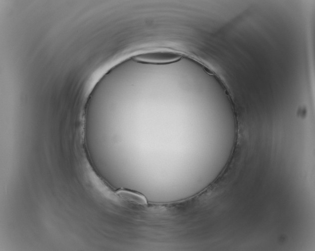 X0000113221524200910011332