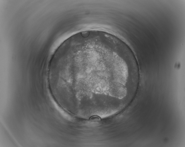 X0000113221525200910011332