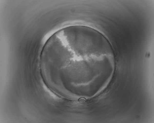 X0000113221527200910011332