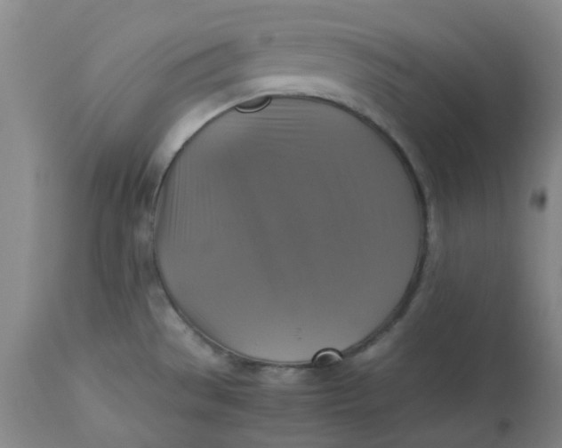 X0000113221529200910011332