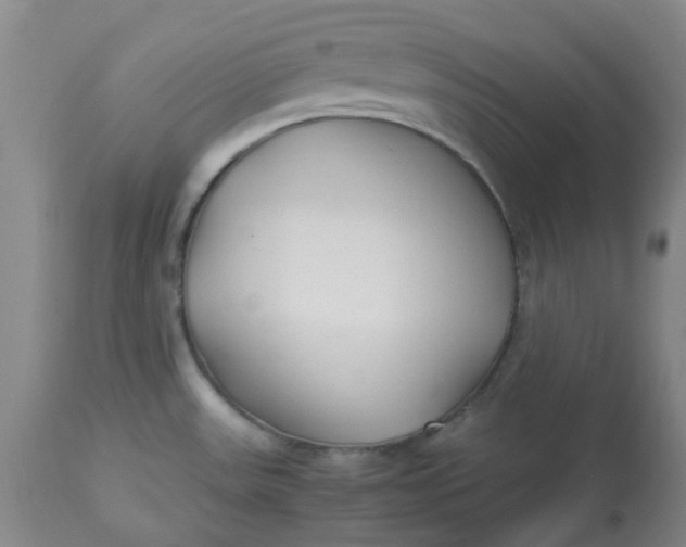 X0000113221531200910011332