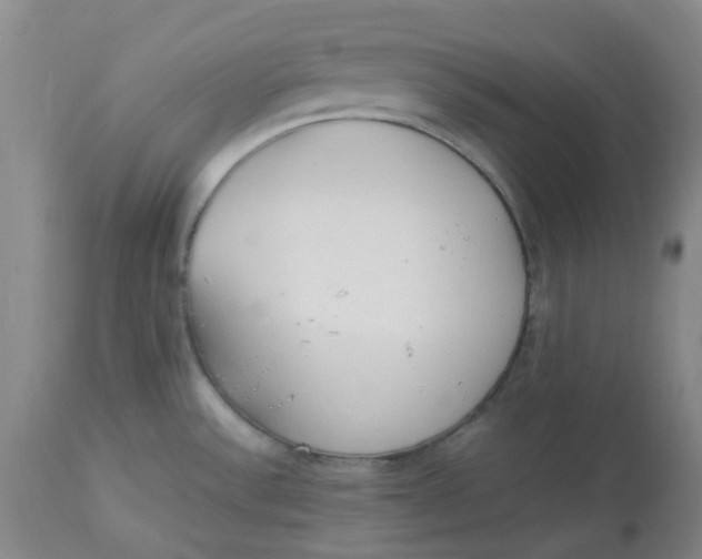 X0000113221532200910011332