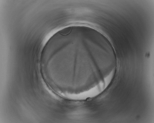 X0000113221533200910011332