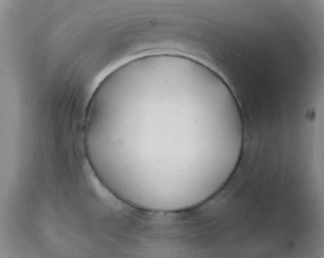 X0000113221534200910011332