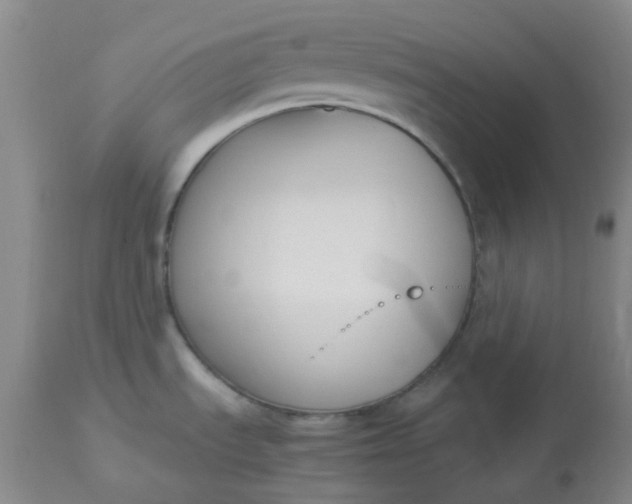 X0000113221535200910011332