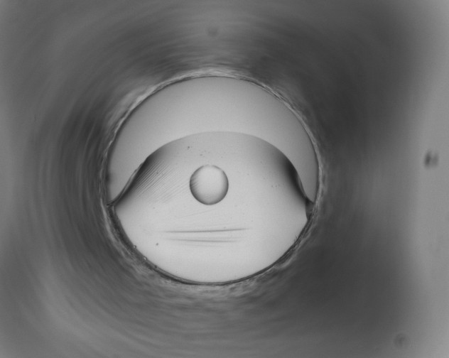 X0000113220001200910081352