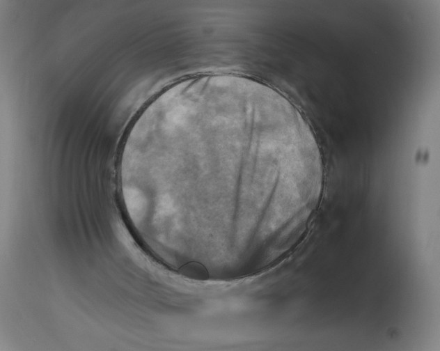 X0000113220002200910081352
