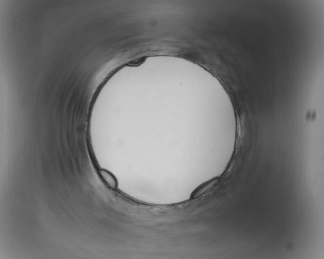 X0000113220003200910081352