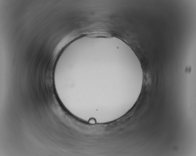 X0000113220004200910081352
