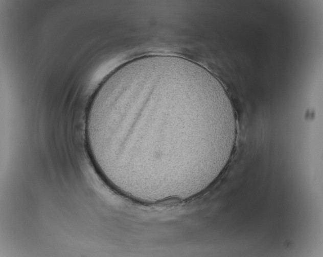 X0000113220005200910081352