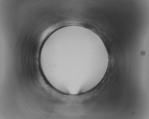 X0000113220006200910081352