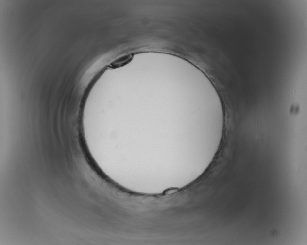 X0000113220007200910081352