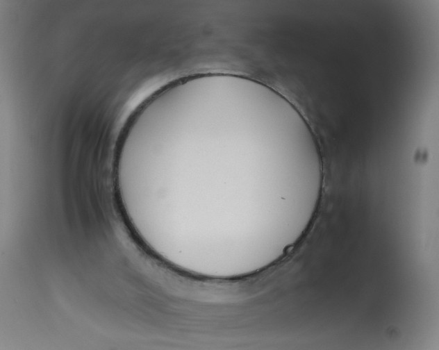 X0000113220008200910081352