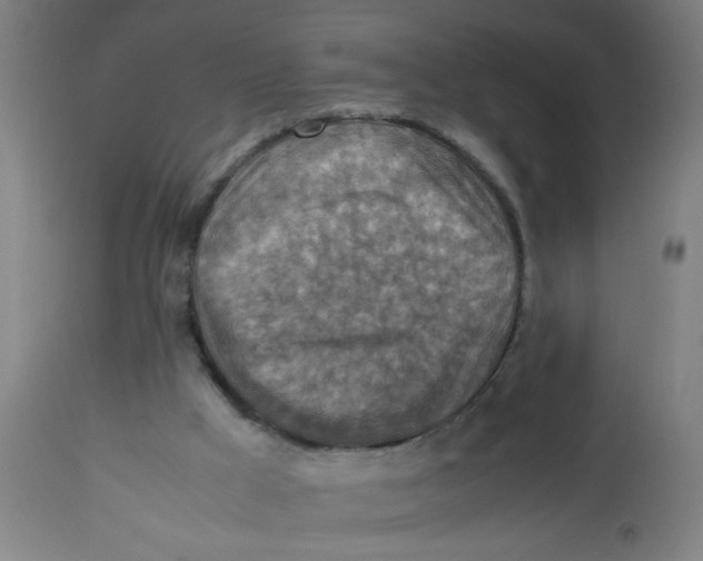 X0000113220009200910081352