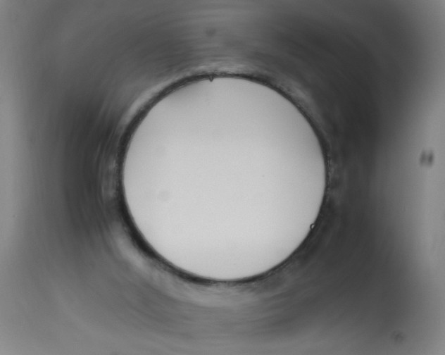 X0000113220012200910081352