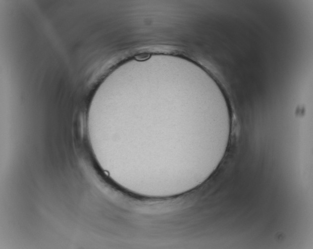 X0000113220013200910081352