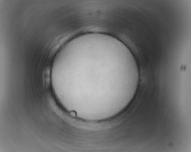 X0000113220014200910081352