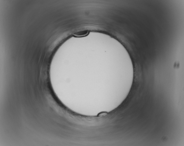 X0000113220015200910081352