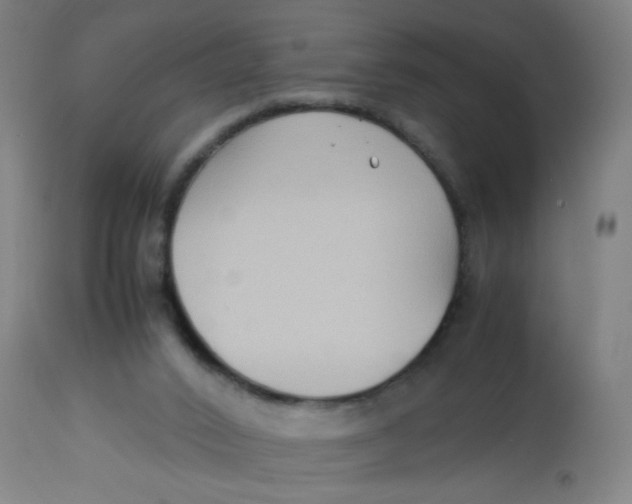X0000113220016200910081352