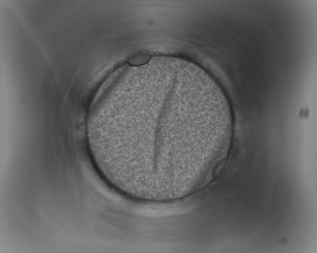 X0000113220017200910081352