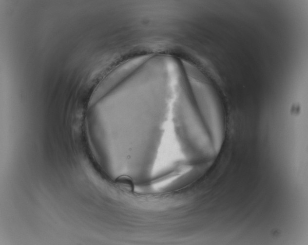 X0000113220018200910081352