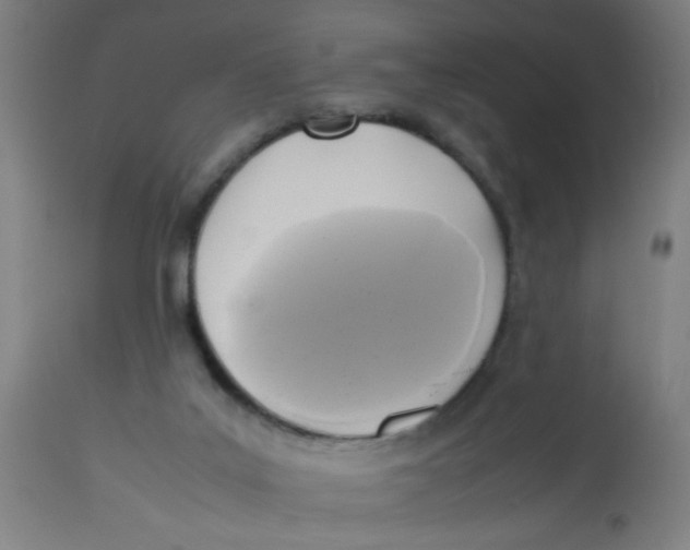 X0000113220019200910081352