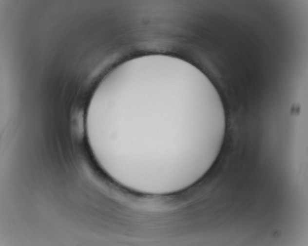 X0000113220020200910081352