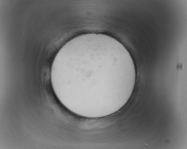 X0000113220021200910081352