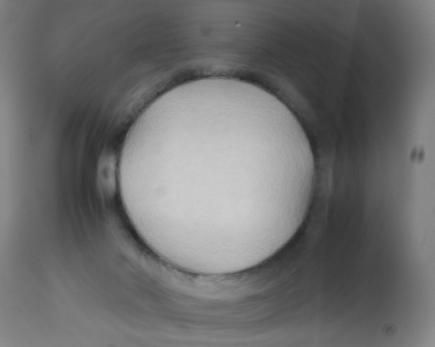 X0000113220022200910081352