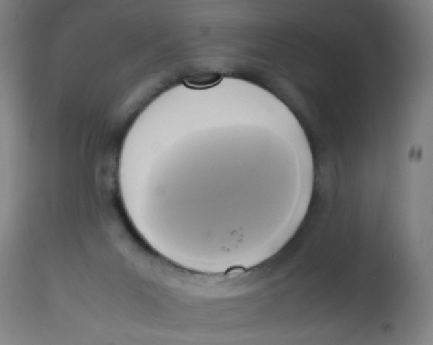 X0000113220023200910081352