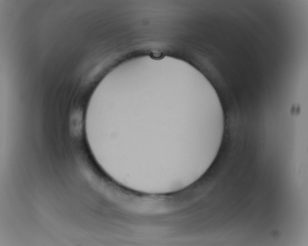 X0000113220024200910081352