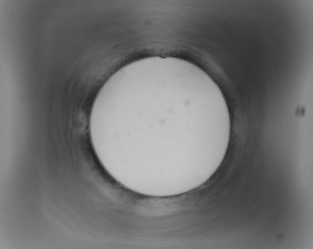 X0000113220025200910081352