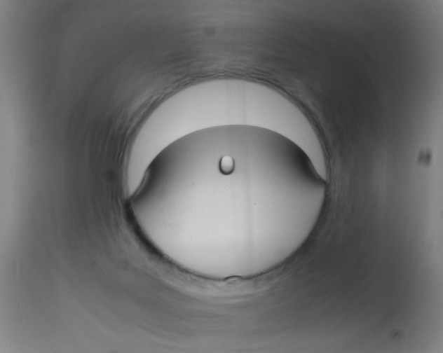 X0000113220027200910081352