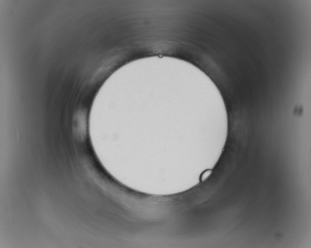 X0000113220028200910081352