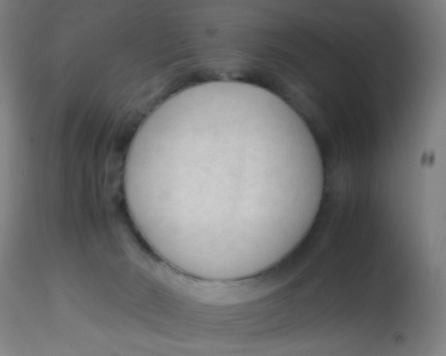 X0000113220030200910081352