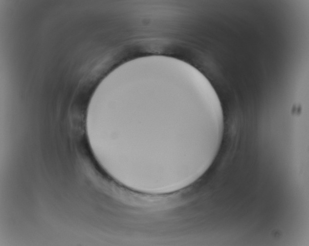 X0000113220031200910081352
