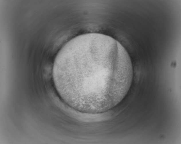 X0000113220034200910081352