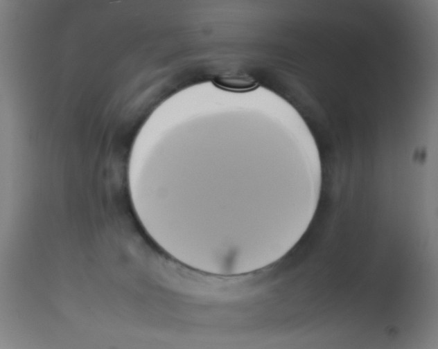X0000113220035200910081352