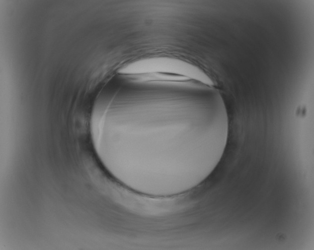 X0000113220039200910081352