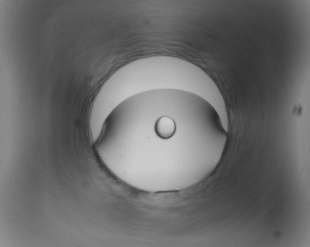 X0000113220041200910081352